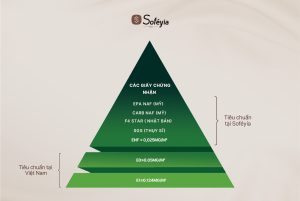 Soféyia – Thương hiệu nội thất tùy chỉnh tái định vị tầm nhìn thương hiệu缩略图